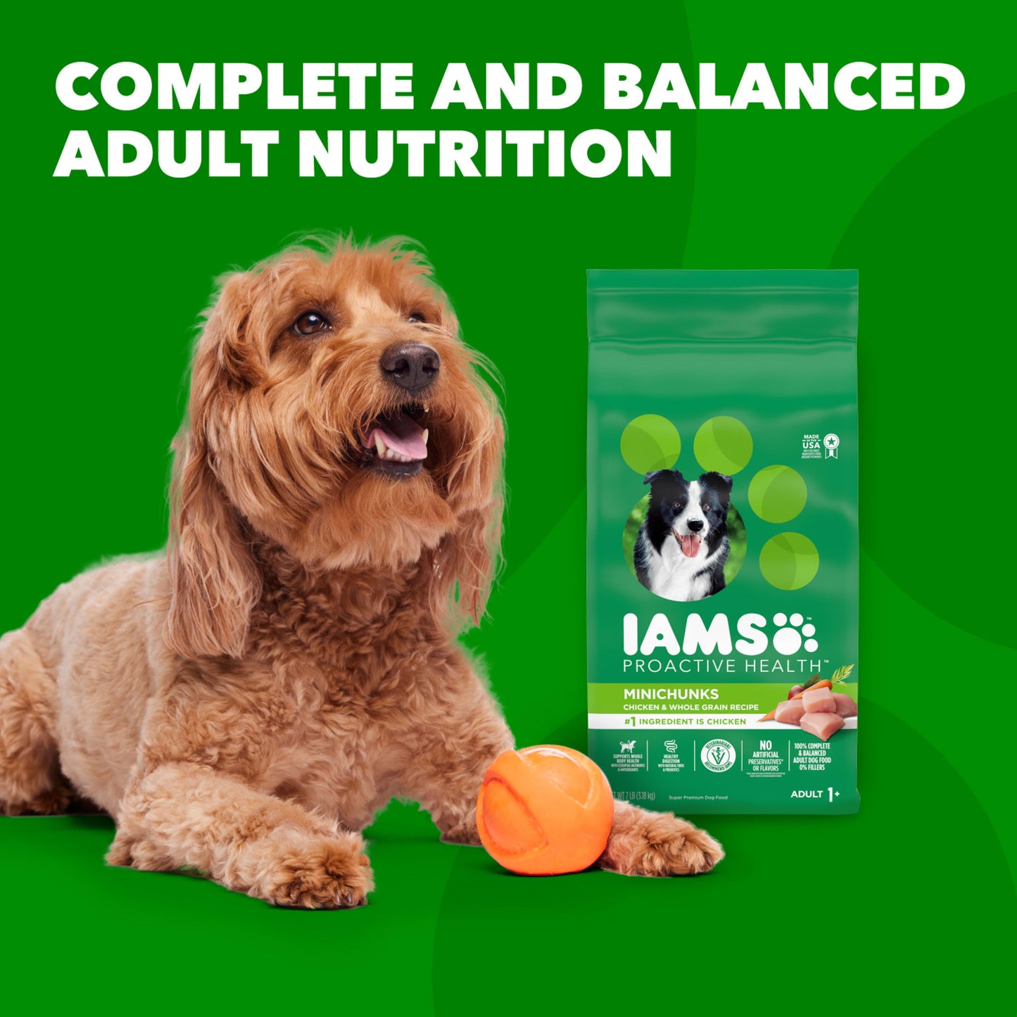 Iams Proactive Health Minichunks Dry Dog Food with Real Chicken and Whole Grains, 40 Lb Bag