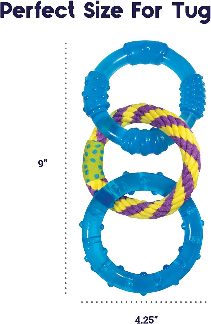 Outward Hound Mini Orka & Friends Fox Dog Toys 2-Pack – Dental Dog Chew Toy and Tough Plush Squeaky Dog Toy, Orange, XS