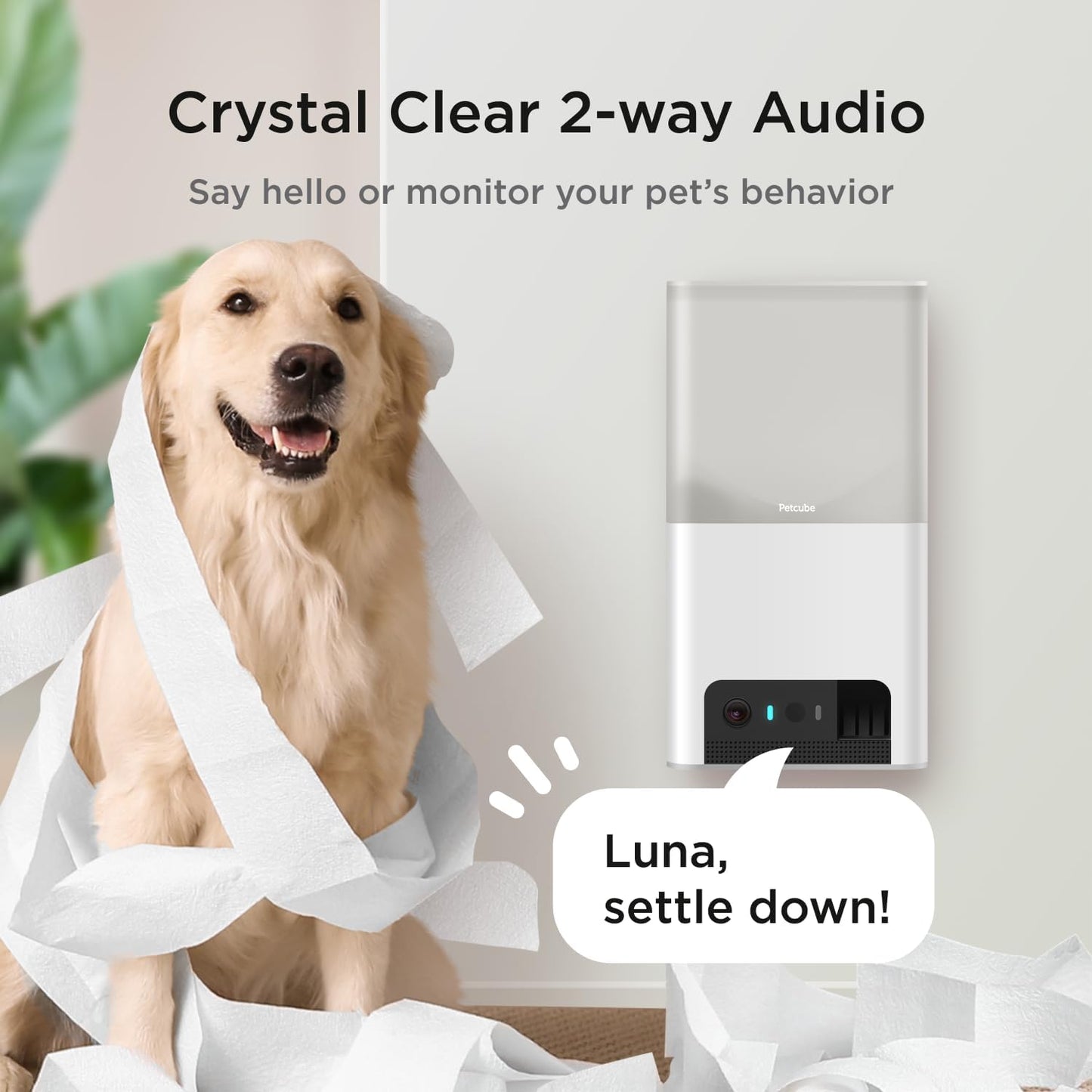 Petcube Bites 2 Lite Interactive Wifi Pet Monitoring Camera with Phone App and Treat Dispenser, 1080P HD Video, Night Vision, Two-Way Audio, Sound and Motion Alerts, Cat and Dog Monitor