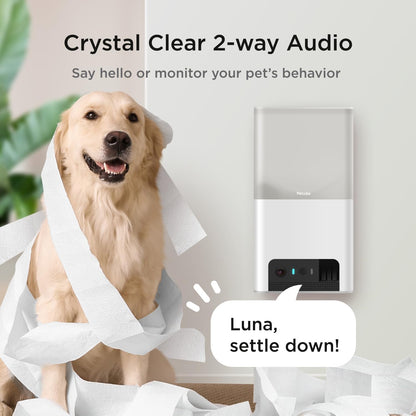 Petcube Bites 2 Lite Interactive Wifi Pet Monitoring Camera with Phone App and Treat Dispenser, 1080P HD Video, Night Vision, Two-Way Audio, Sound and Motion Alerts, Cat and Dog Monitor