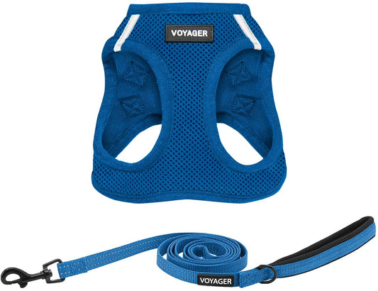 Voyager Step-In Air Cat Harness - All Weather Mesh Step in Vest Harness for Small and Medium Cats by Best Pet Supplies - Set (Royal Blue), XXS