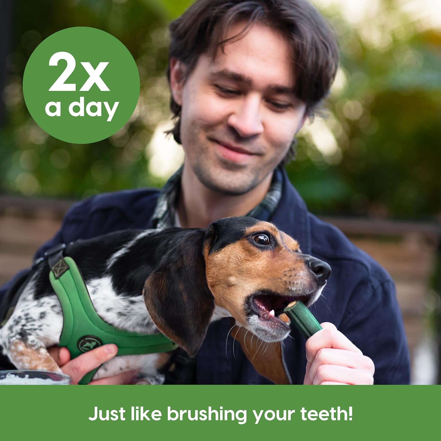 Ark Naturals Brushless Toothpaste, Dog Dental Chews for Extra Large Breeds, Freshens Breath, Unique Texture Helps Reduce Plaque & Tartar, 24Oz, 1 Pack