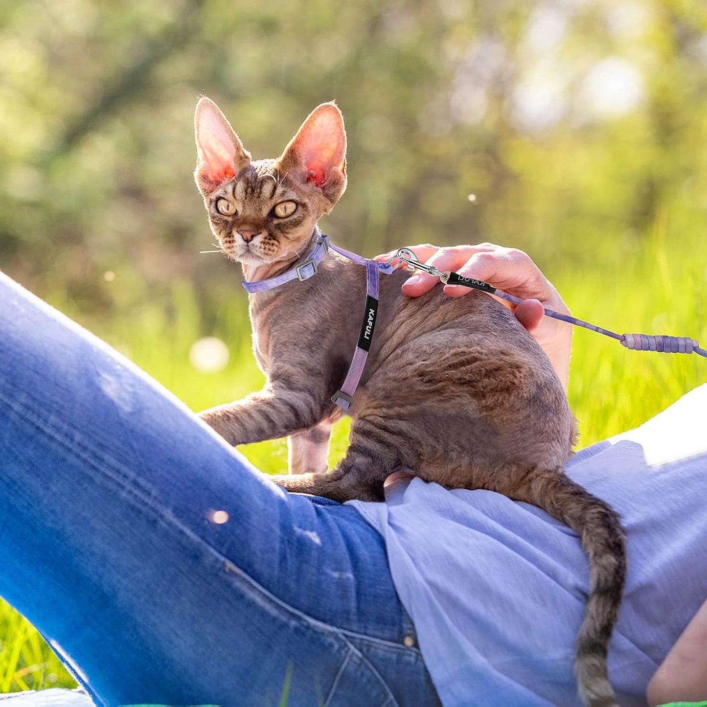 Cat Harness and Leash Set, Adjustable Gradient Kitten Harness Escape Proof Harness with Leash for Kitty Outdoor Walking (Vanilla Yellow)