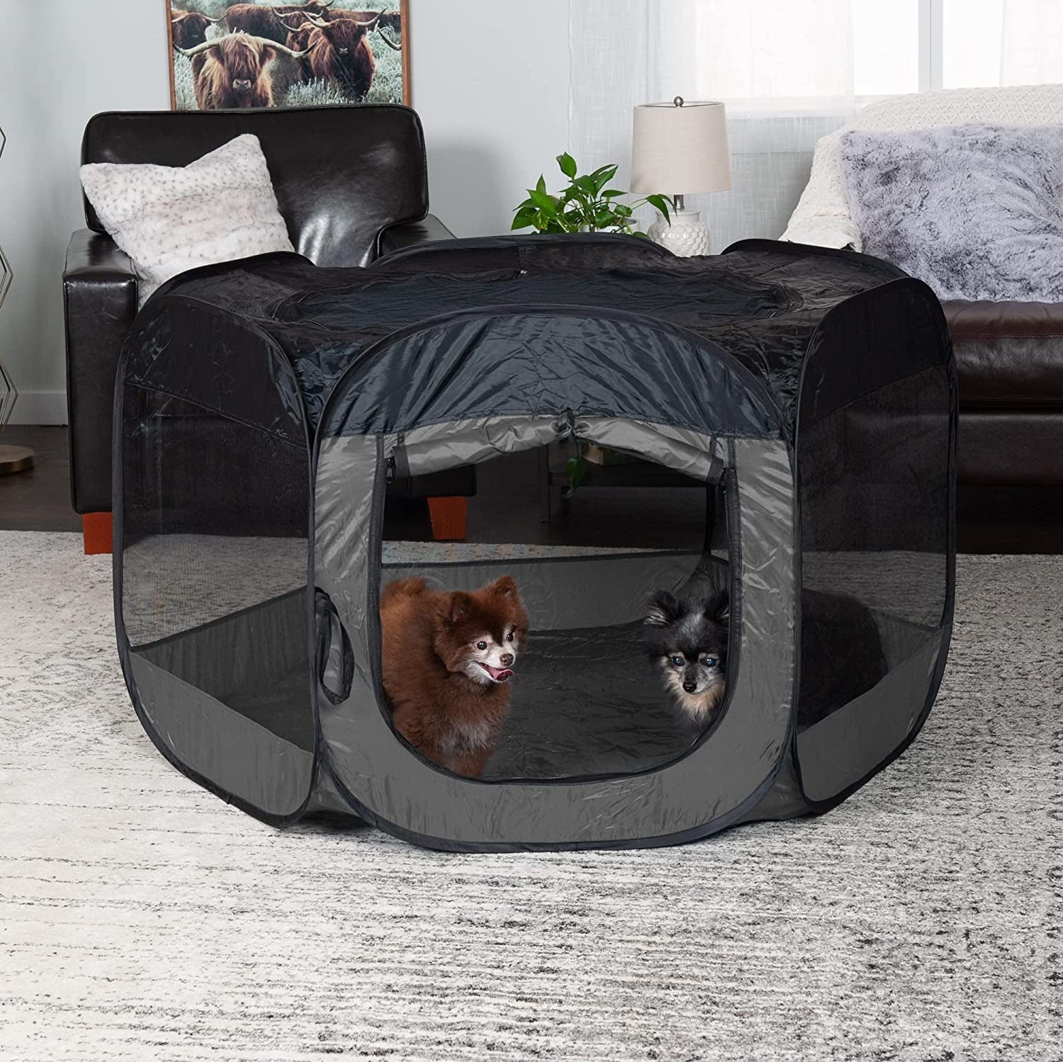 Furhaven Pop up Playpen Pet Tent Playground - Hunter Green, Small