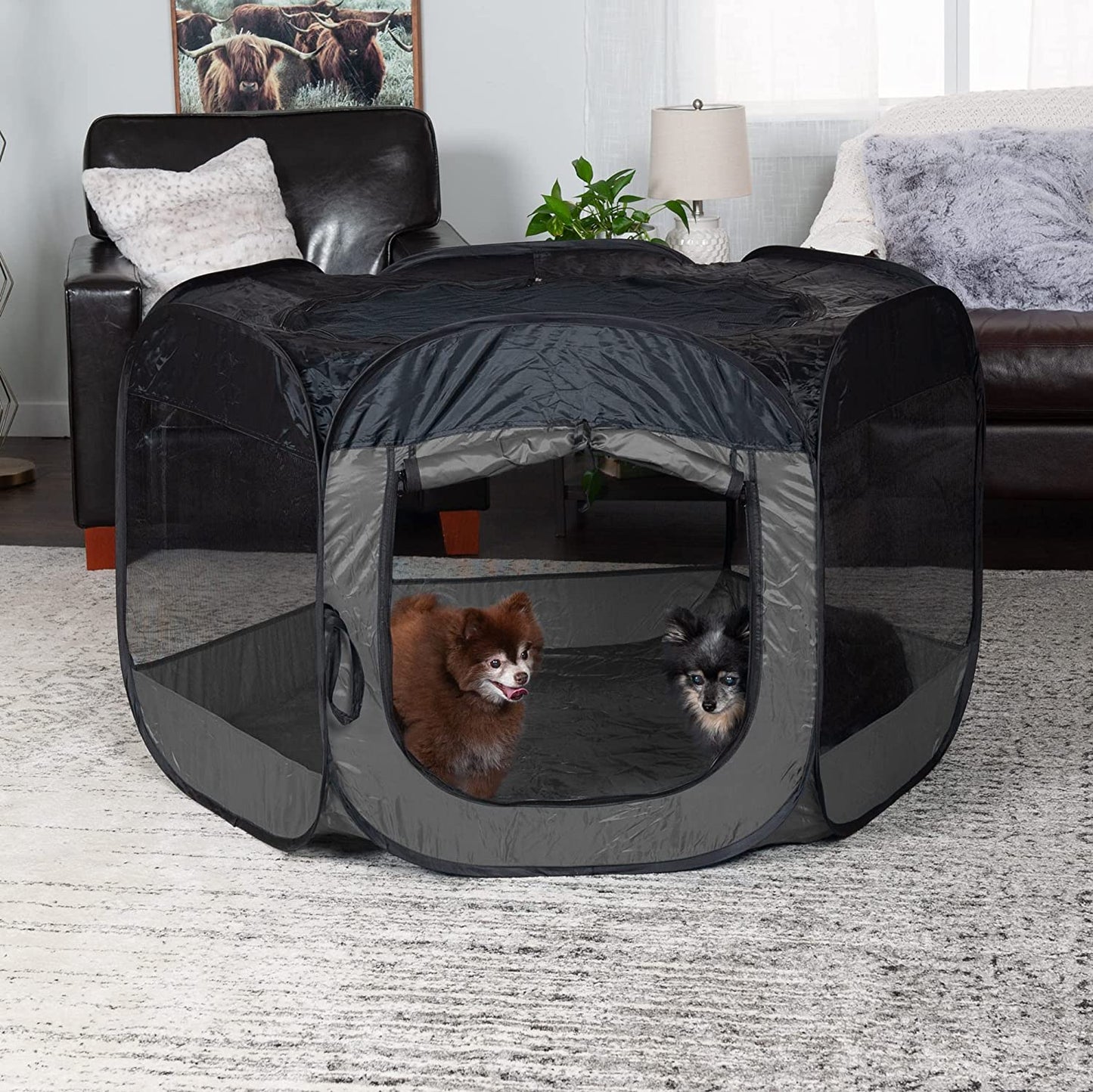 Furhaven Pop up Playpen Pet Tent Playground - Sailor Blue, Small