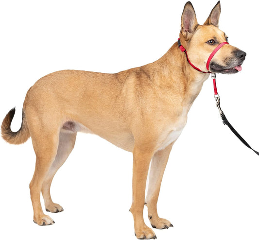 Petsafe Gentle Leader No-Pull Dog Headcollar - the Ultimate Solution to Pulling - Redirects Your Dog'S Pulling for Easier Walks - Helps You Regain Control - Medium , Red