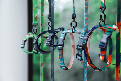 Pidan Cat Harness & Leash Set, Cats Escape Proof Adjustable Kitten Harness for Large Small Cats