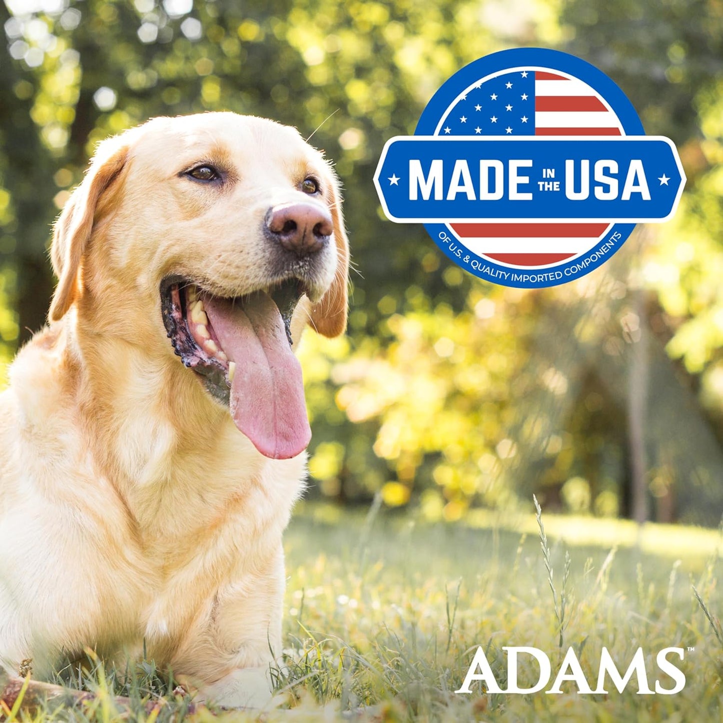 Adams plus Flea & Tick Collar for Dogs, 7-Month Protection, Adjustable Collar Fits Large Dogs & Puppies, Kills & Repels Fleas, Flea Eggs, Flea Larvae and Ticks, Kills Tick Larvae and Tick Nymphs, Blue