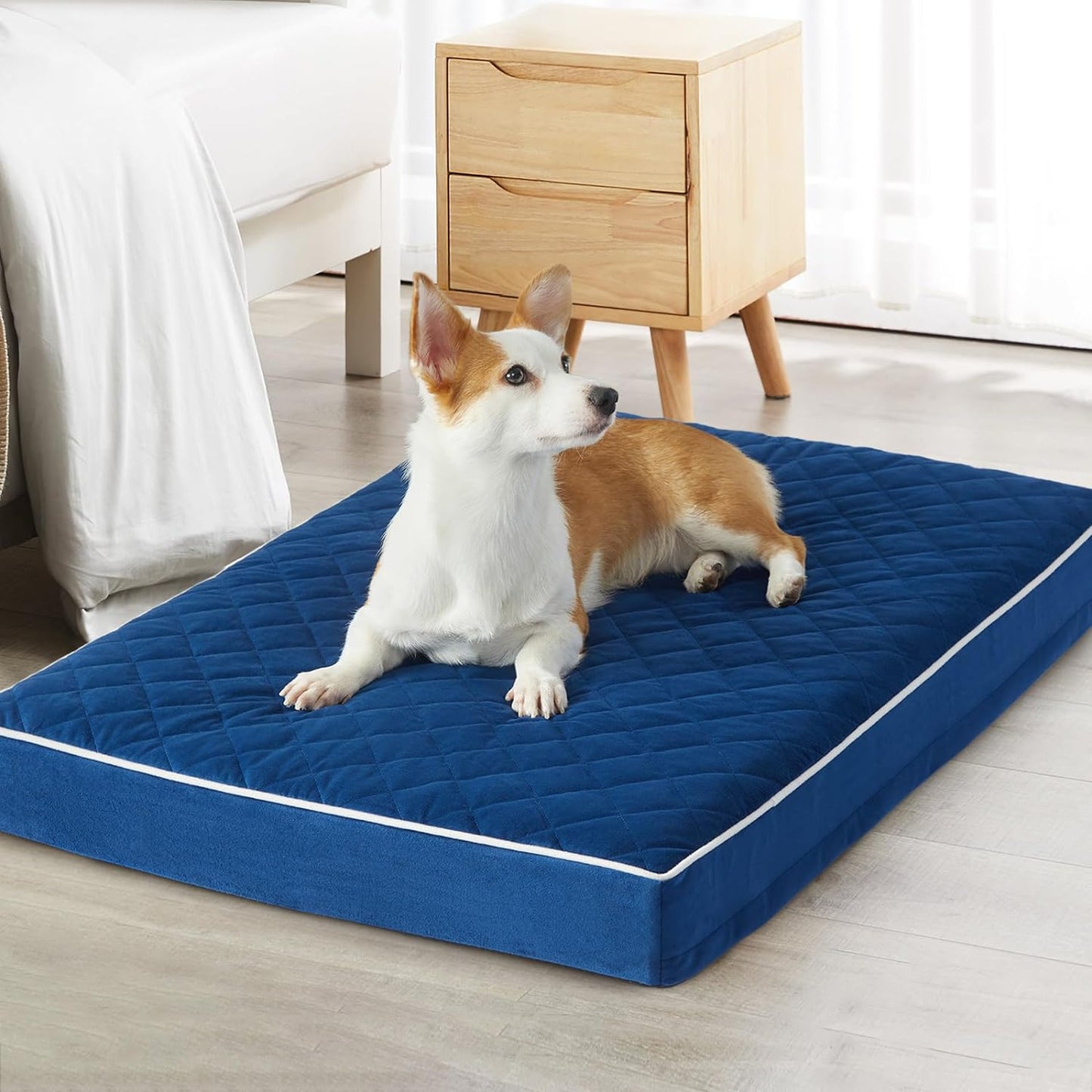 WNPETHOME Orthopedic Dog Beds for Medium Dogs, Large Waterproof Dog Bed with Removable Washable Cover & Anti-Slip Bottom, Multi-Needle Quilting XL Pet Bed (Blue)