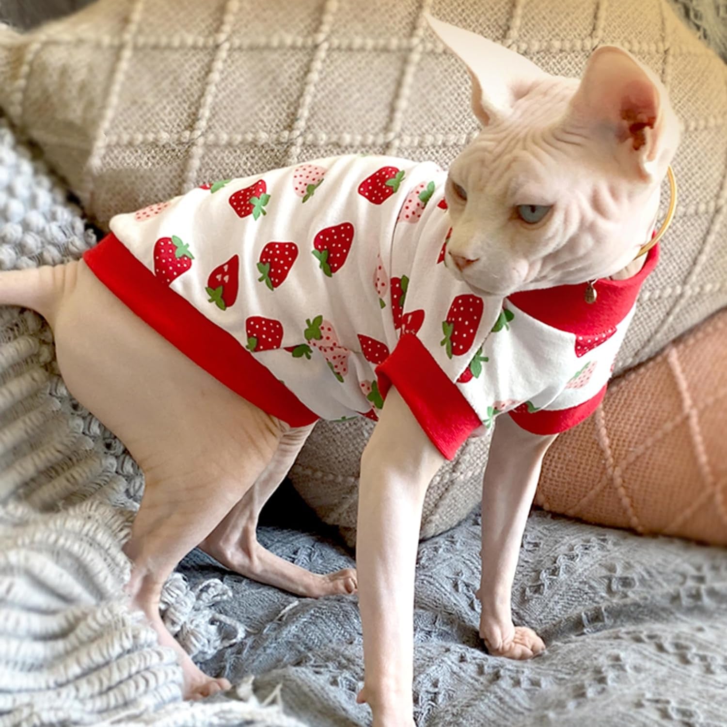 PUMYPOREITY Sphynx Cat Clothes, Stretchy Cat Sweater, Soft Hairless Cats Shirt, Pullover Cat Pajamas, Cat Turtleneck for Sphynx Cornish Rex, Devon Rex, Red, 2XL