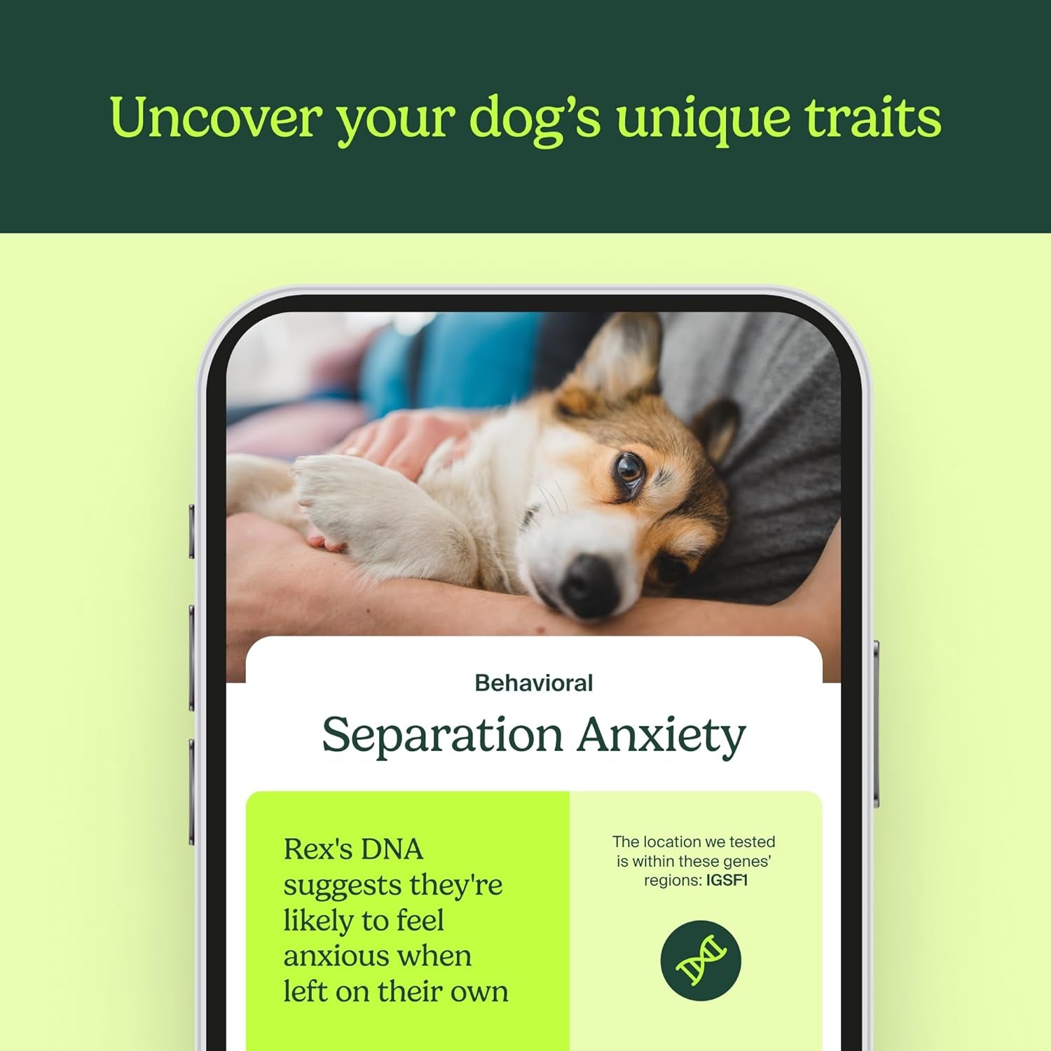 Ancestrydna Know Your Pet DNA: Dog DNA Breed Identification Test, Genetic Traits, DNA Matches, Dog DNA Test