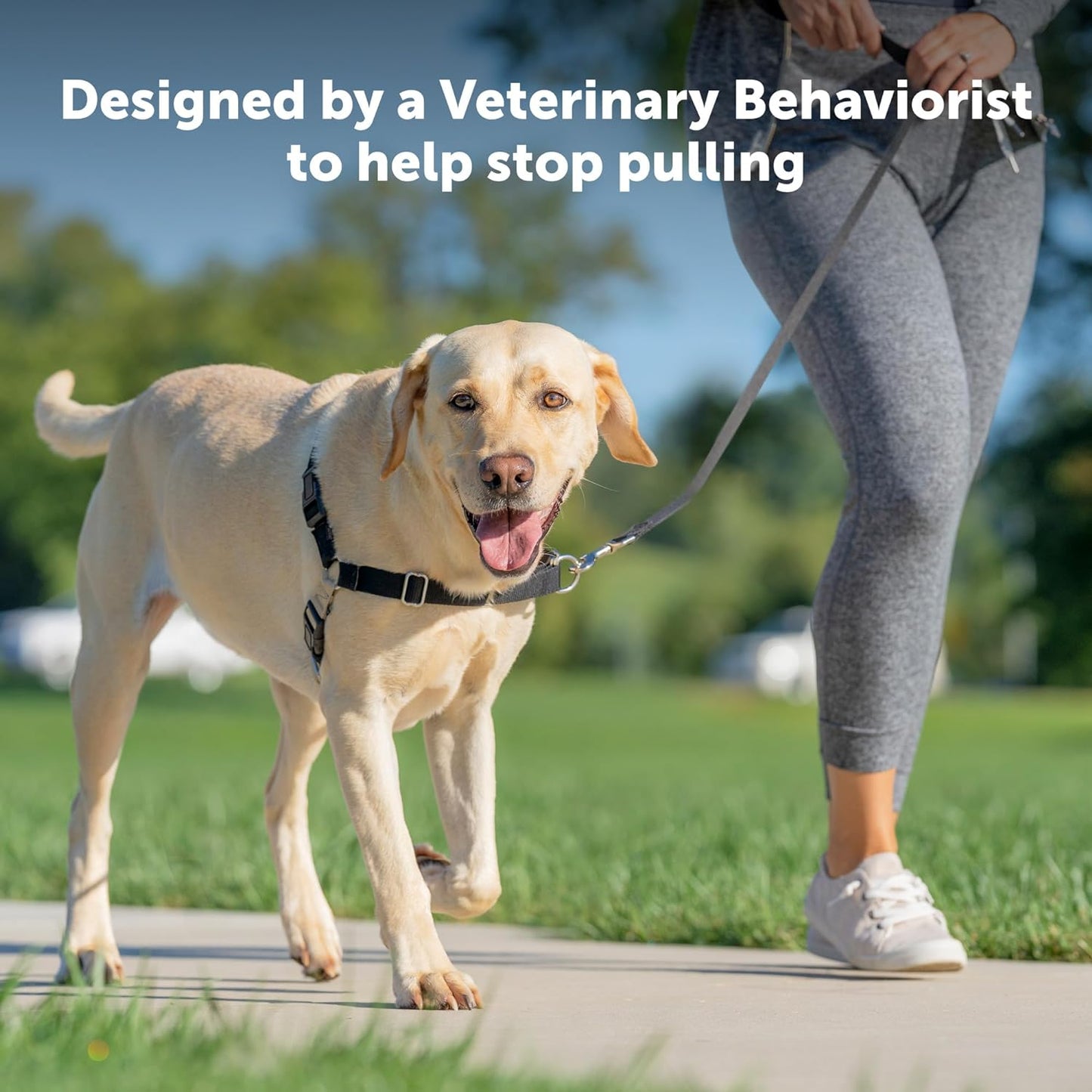 Petsafe Easy Walk No-Pull Dog Harness - the Ultimate Harness to Help Stop Pulling - Take Control & Teach Better Leash Manners - Helps Prevent Pets Pulling on Walks - Small, Red/Black