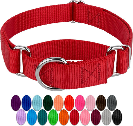 Country Brook Design - Red Martingale Heavy Duty Nylon Dog Collar - 21 Vibrant Color Options (3/4 Inch Width, Small)