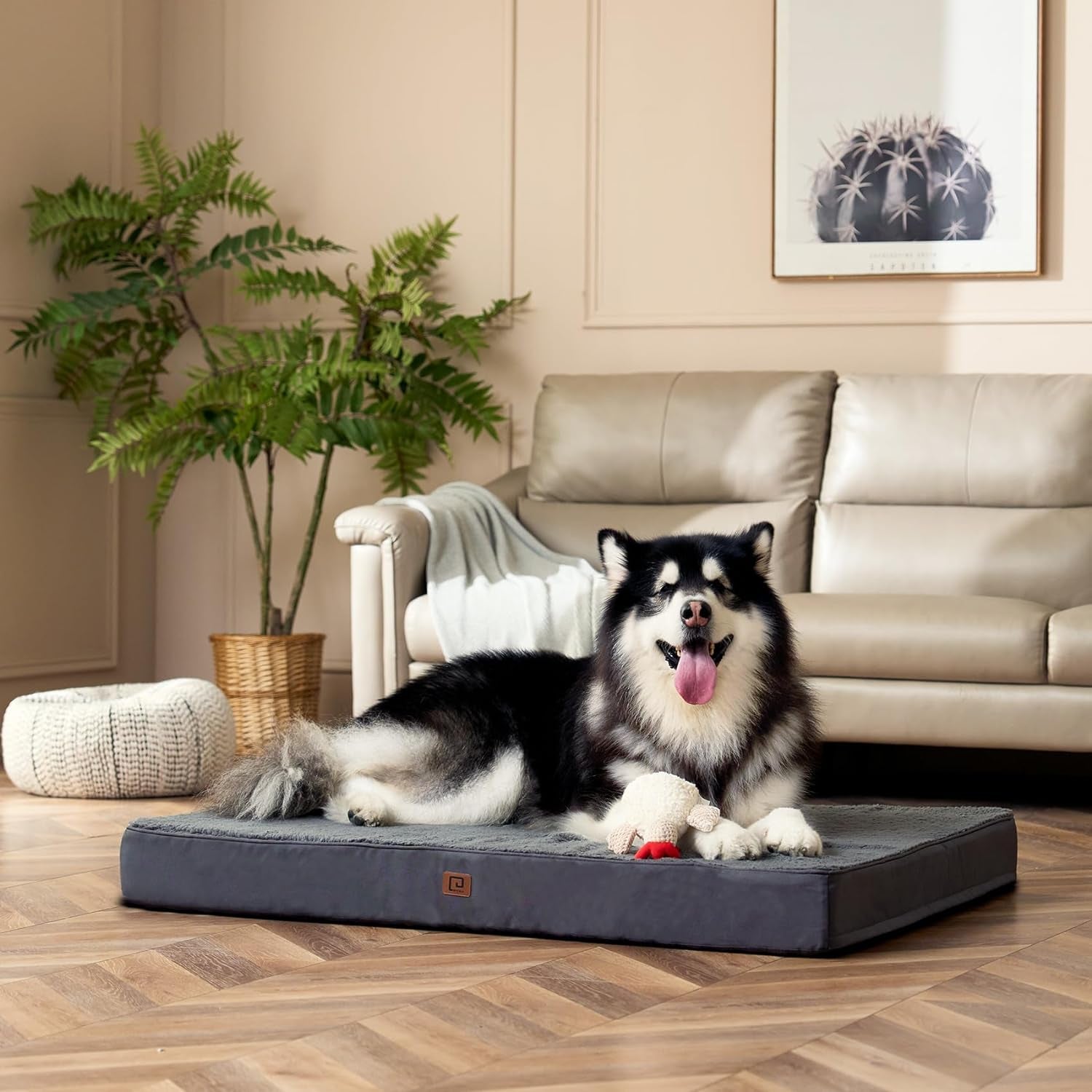 EHEYCIGA Orthopedic Foam Dog Bed, Medium, 30"L X 20"W X 3.5"Th, Light Grey