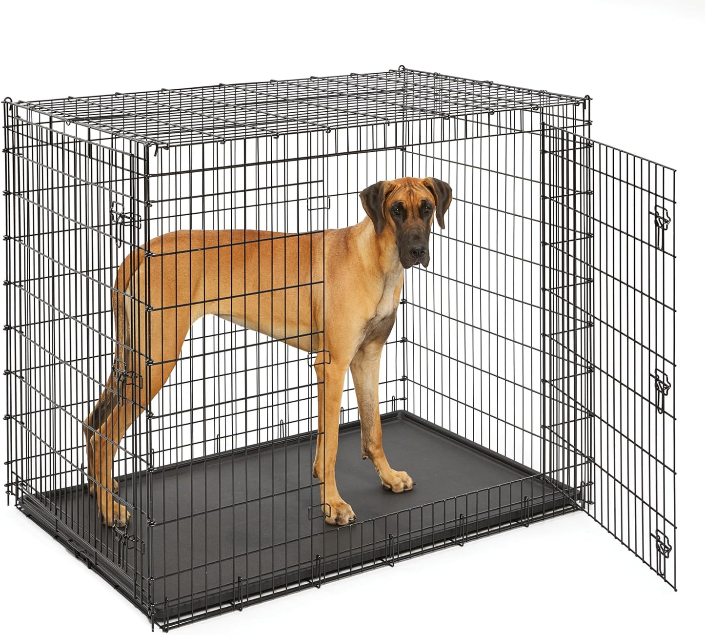 Midwest Homes for Pets Ginormous Double Door 54-Inch Dog Crate for XXL Dogs Breeds; Great Dane, Mastiff, St. Bernard, Drop Pin Assembly Requires Two People; Divider Panel Not Included; Black: SL54DD