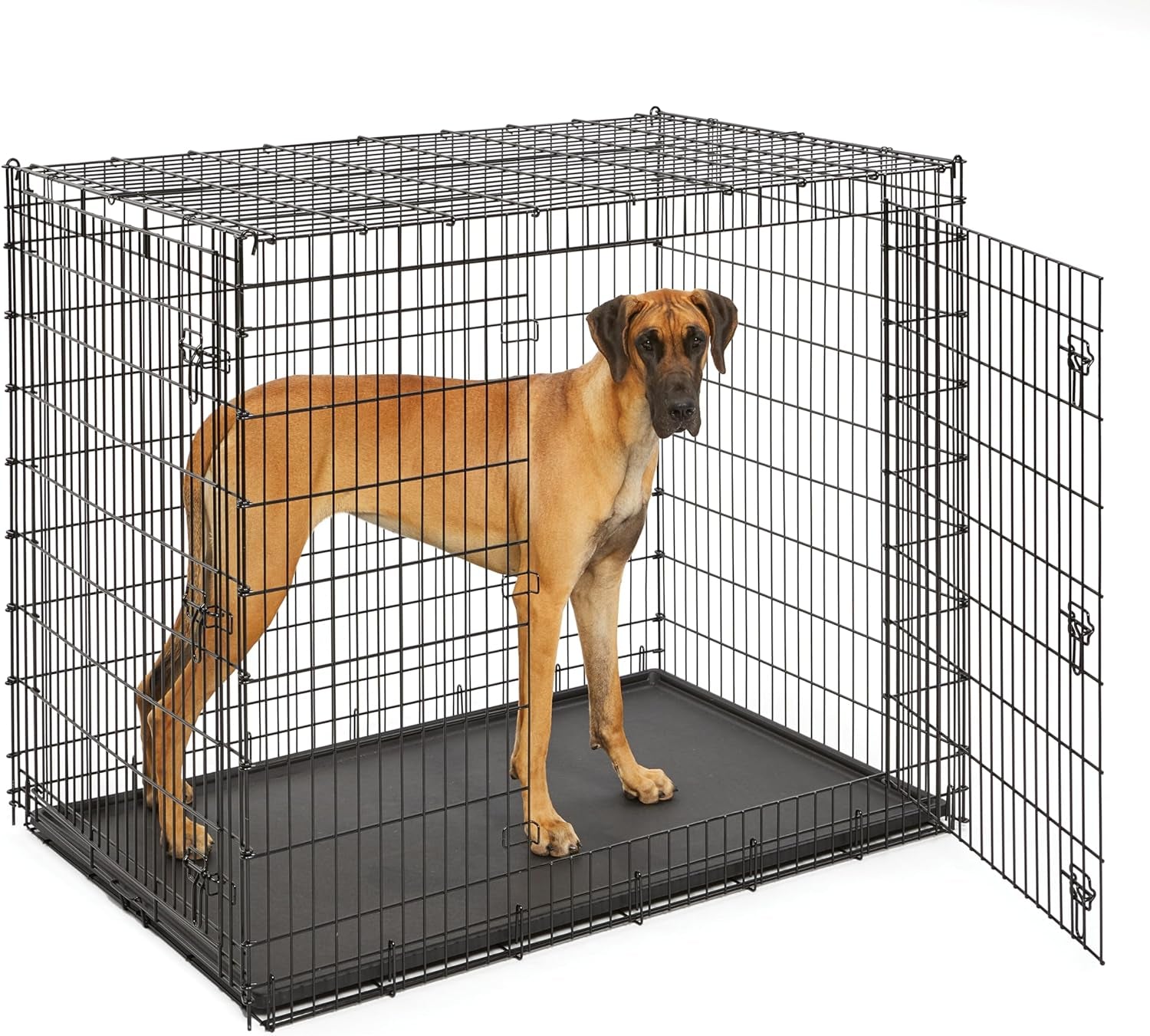 Midwest Homes for Pets Ginormous Double Door 54-Inch Dog Crate for XXL Dogs Breeds; Great Dane, Mastiff, St. Bernard, Drop Pin Assembly Requires Two People; Divider Panel Not Included; Black: SL54DD