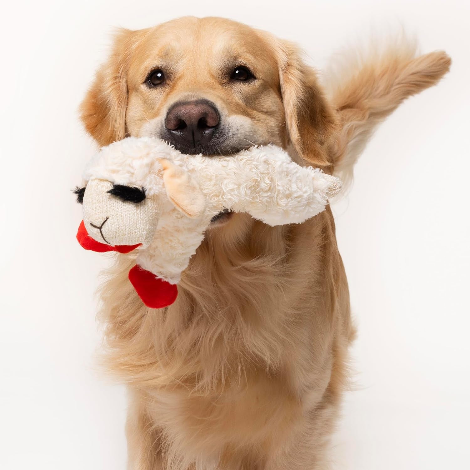 Multipet Plush Dog Toy, Lambchop, 10" Regular, White, Large