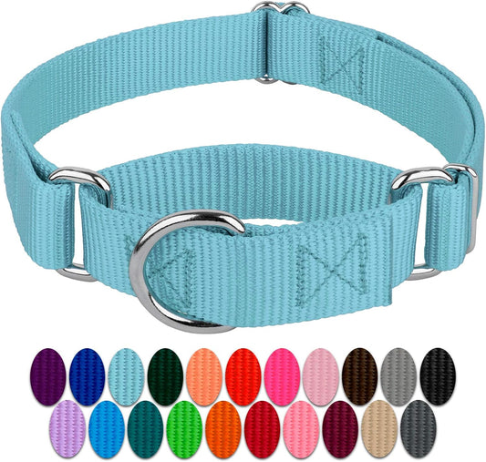 Country Brook Petz - Ocean Blue Martingale Heavy Duty Nylon Dog Collar - 21 Vibrant Color Options (3/8 Inch Width, Mini)