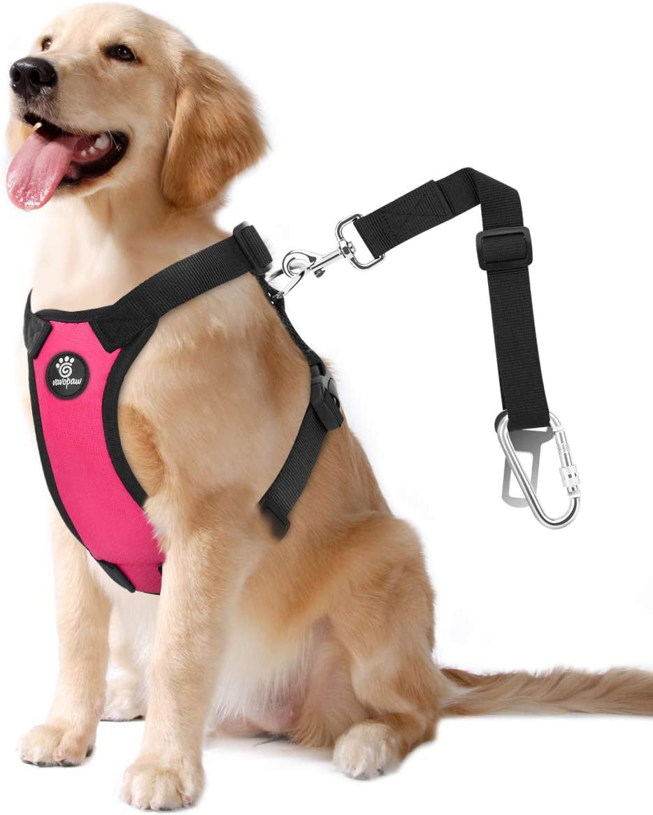 Dog Vehicle Safety Vest Harness, Adjustable Soft Padded Mesh Car Seat Belt Leash Harness with Travel Strap and Carabiner for Most Cars, Large Size, Magenta