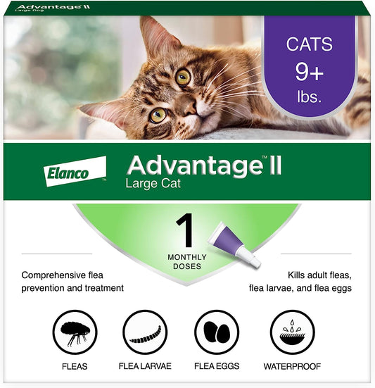 Advantage II Large Cat Vet-Recommended Flea Treatment & Prevention | Cats over 9 Lbs. | 1-Month Supply