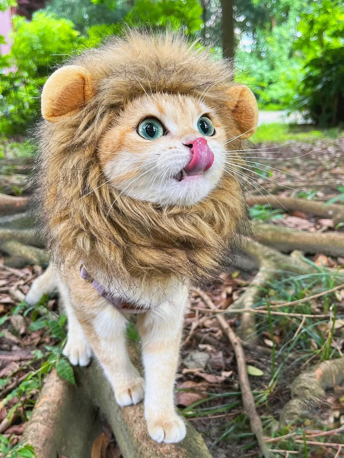 Lion Mane Wig for Cat,Cat Costume,Puppy Costume,Funny Pet Cat Costumes for Halloween Christmas, Funny Pet Clothing Accessories (Medium, Black & Light Brown)