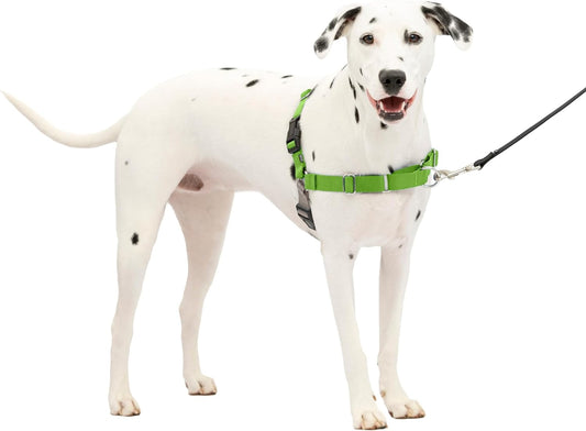 Petsafe Easy Walk No-Pull Dog Harness - the Ultimate Harness to Help Stop Pulling - Take Control & Teach Better Leash Manners - Helps Prevent Pets Pulling on Walks - Medium/Large, Apple Green/Gray