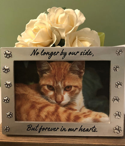 Newlifelandia Pet Memorial Picture Frame Keepsake for Dog or Cat, Perfect Loss of Pet Gift for Remembrance and Healing
