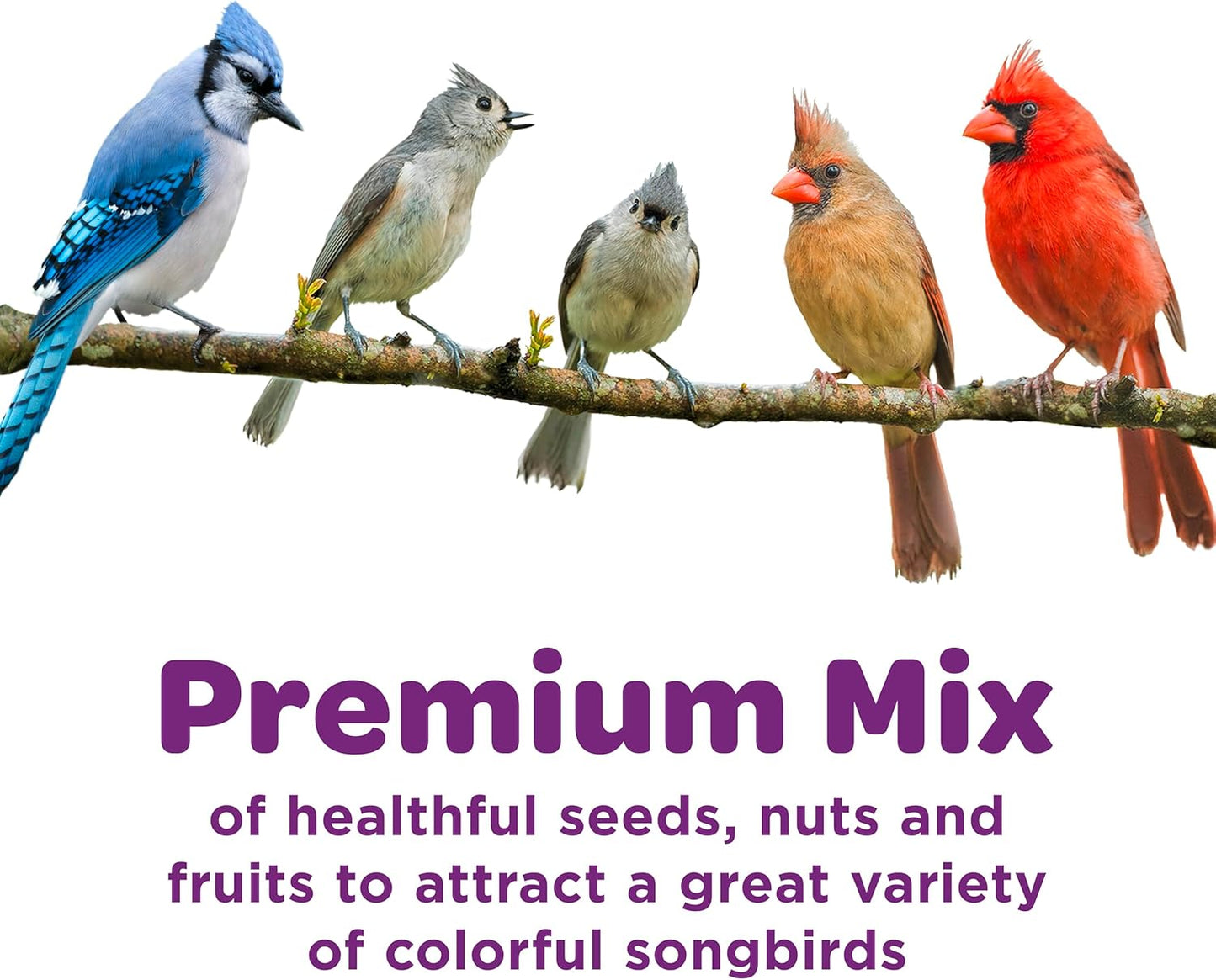 Kaytee Nut and Fruit Blend, Premium Wild Bird Food, Specially Blended for Colorful Songbirds