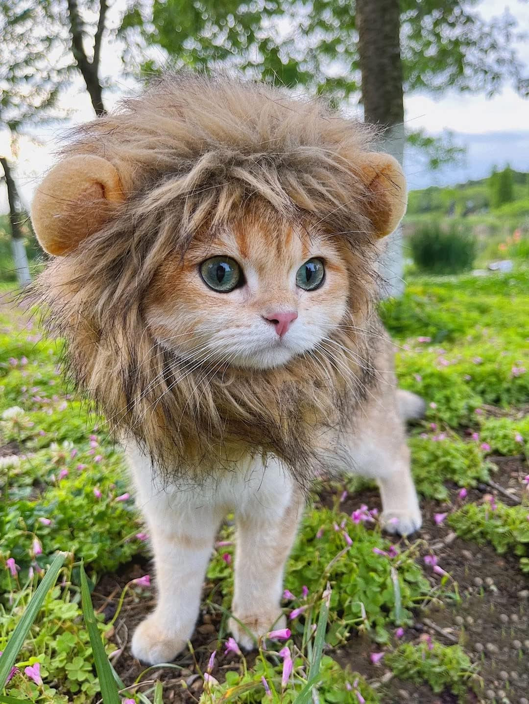 Lion Mane Wig for Cat,Cat Costume,Puppy Costume,Funny Pet Cat Costumes for Halloween Christmas, Funny Pet Clothing Accessories (Medium, Black & Light Brown)