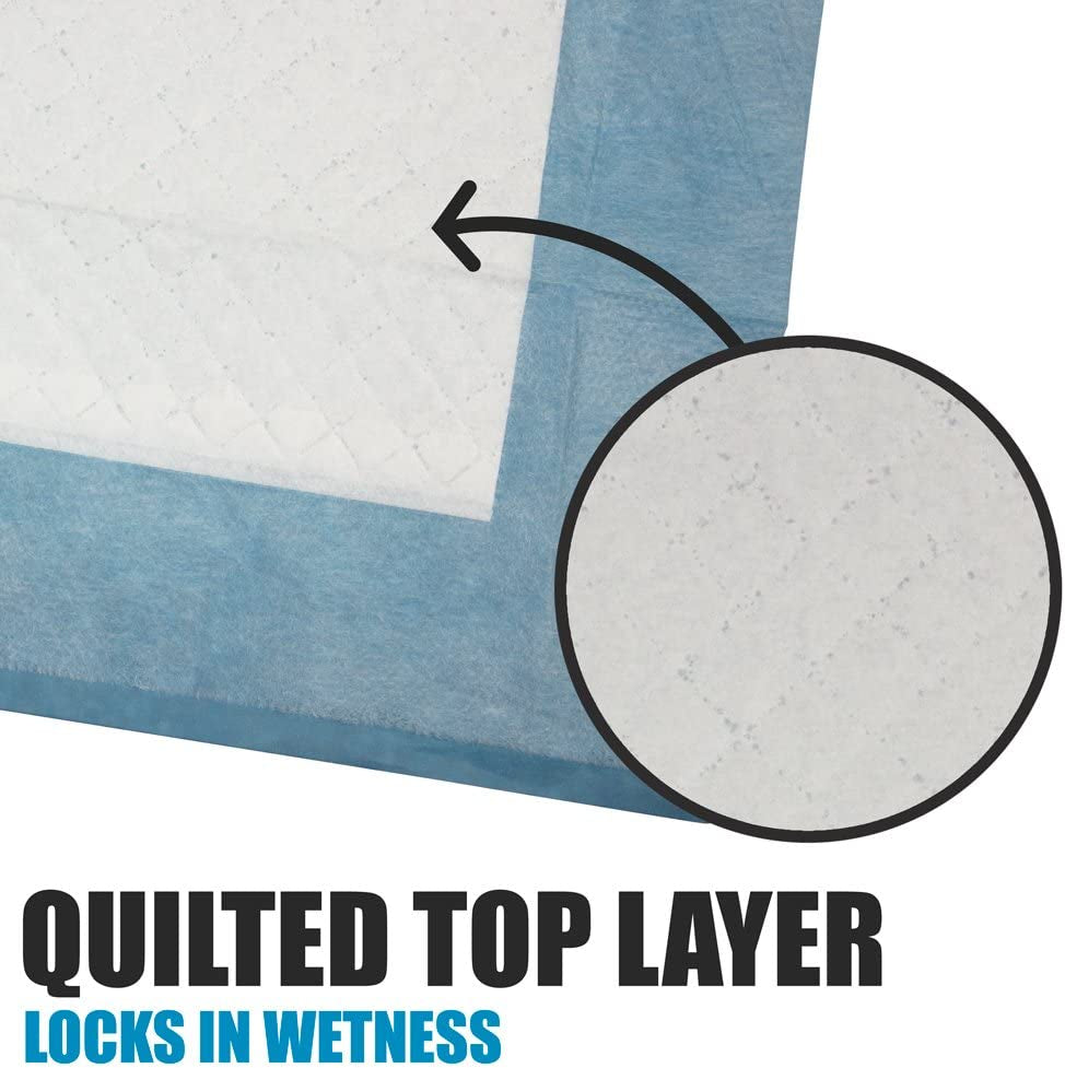 BV Puppy Pads Leak-Proof 600 Count 22"X 22" | Pee Pads for Dogs 6-Layer- Charcoal Dog Pee Pads- Dog Pads 600 Pack- Potty Pads for Dogs- Puppy Pee Pads, Pee Pad Training Pads for Dogs, Pet Pee Pads