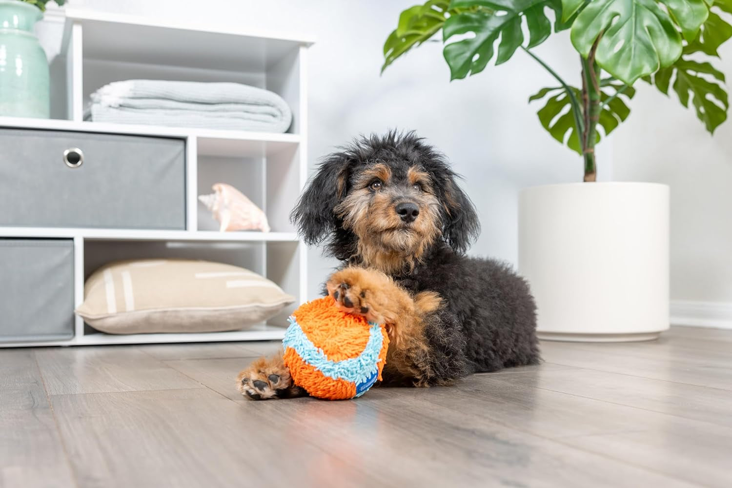 Chuckit! Indoor Fetch Squirrel Dog Toy (9 Inch), Orange and Blue