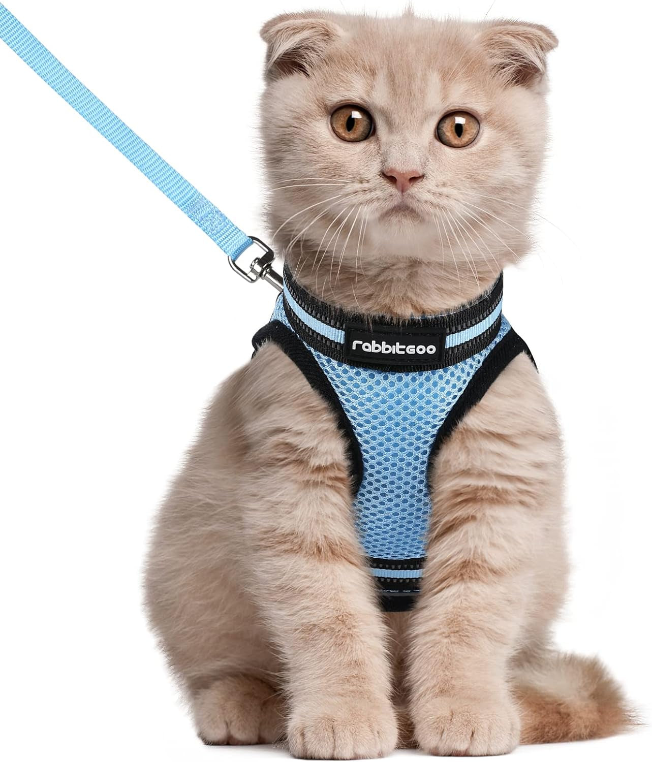 Rabbitgoo Cat Harness and Leash Set for Walking Escape Proof, Adjustable Soft Kittens Vest with Reflective Strip for Cats, Comfortable Outdoor Vest, Light Blue, L