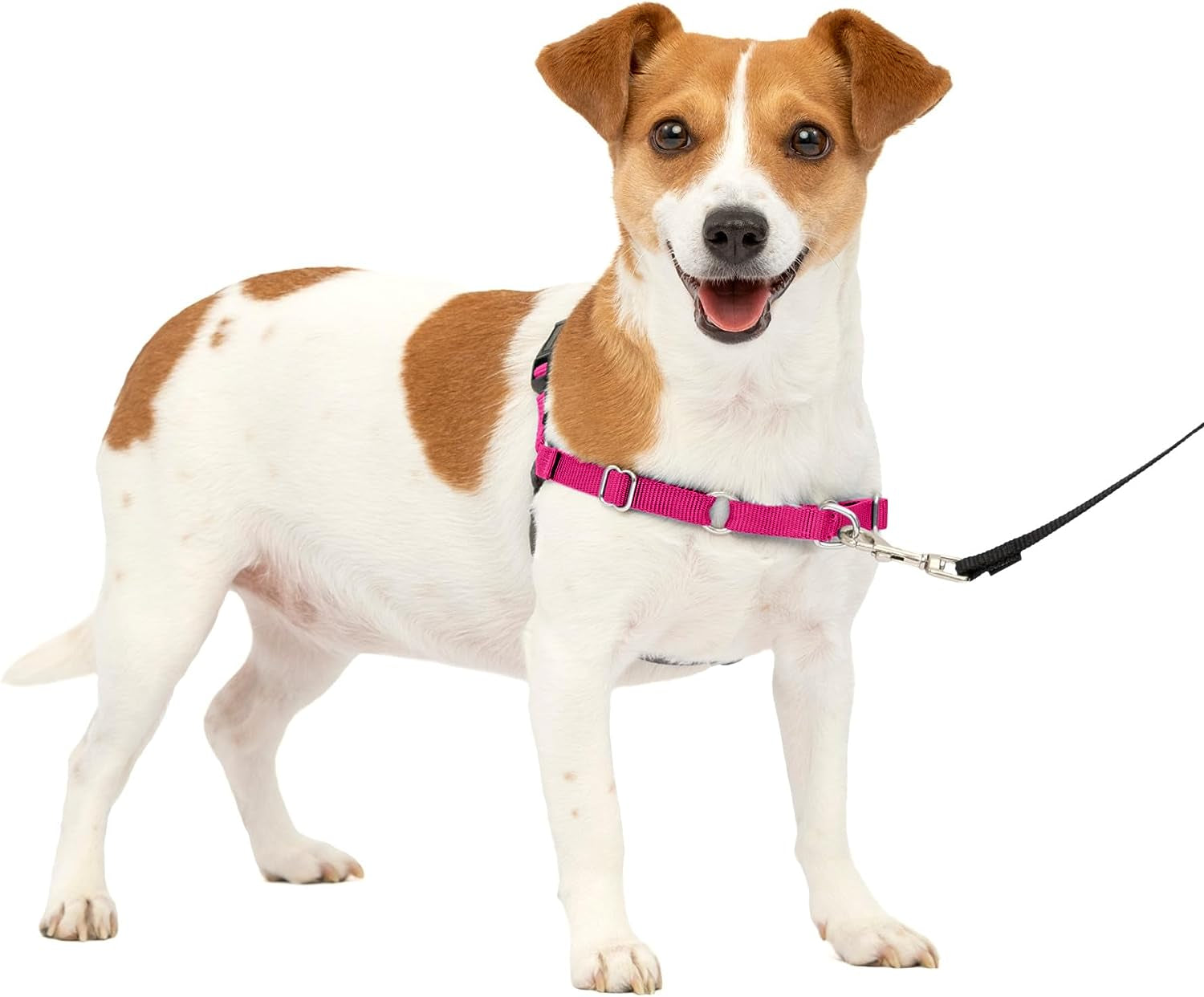 Petsafe Easy Walk No-Pull Dog Harness - the Ultimate Harness to Help Stop Pulling - Take Control & Teach Better Leash Manners - Helps Prevent Pets Pulling on Walks - Small, Raspberry/Gray