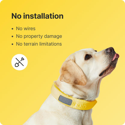 Halo Collar 3 - GPS Dog Fence - Multifunction Wireless Dog Fence & Training Collar with Real-Time Tracking & GPS - Waterproof, Instantly Create and Store Wireless Fences (Small, Sunburst)