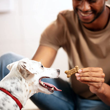 Milk-Bone Flavor Snacks Dog Treats, Small Biscuits, 24 Ounce Crunchy Texture Helps Reduce Tartar