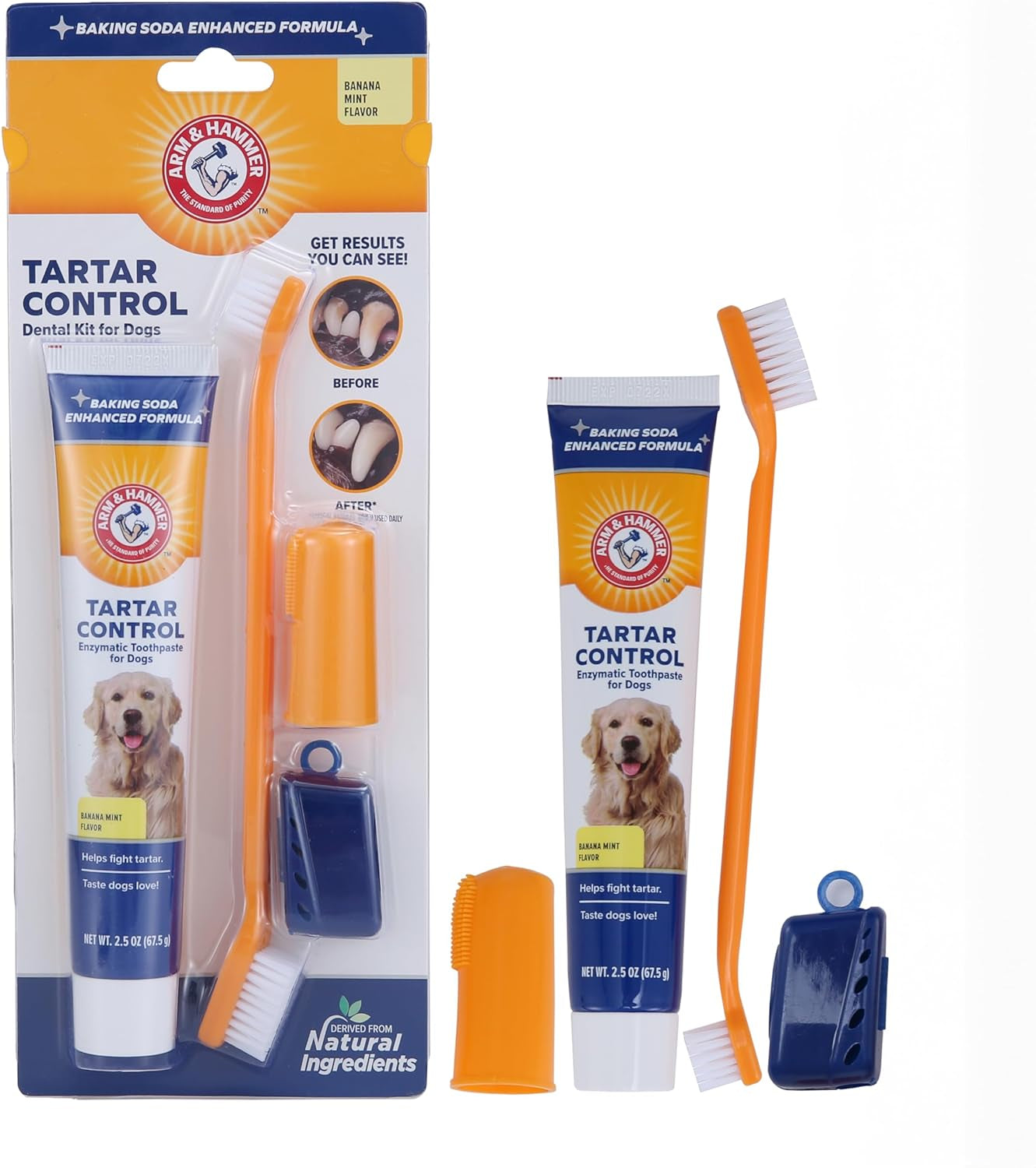 Arm & Hammer for Pets Tartar Control Dental Training Kit for Puppies | Dog Toothbrush, Toothpaste, & Fingerbrush, Total Kit for Ideal Puppy Dental Health | Yummy Vanilla Ginger Flavor