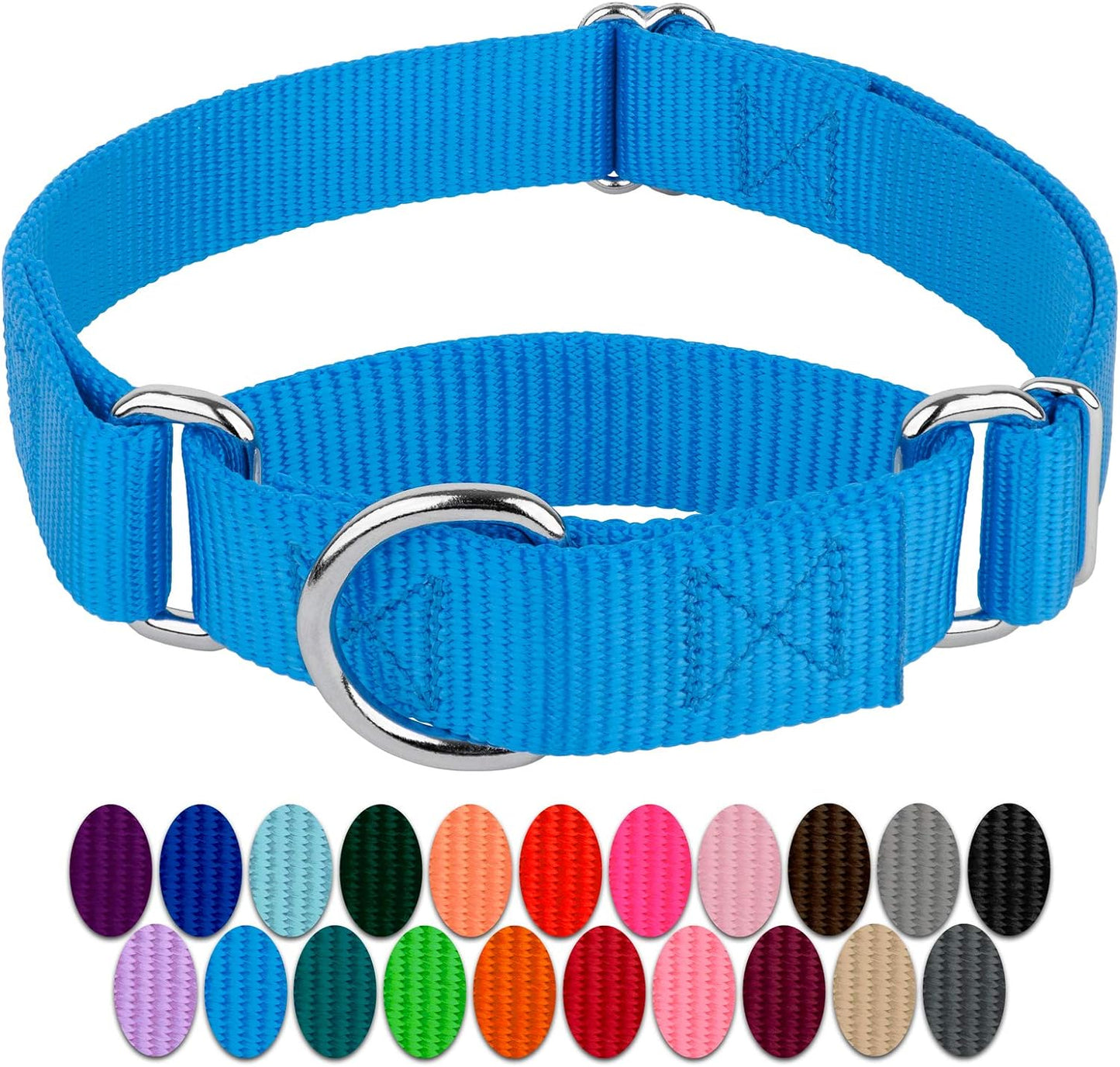 Country Brook Petz - Ice Blue Martingale Heavyduty Nylon Dog Collar - 21 Vibrant Color Options (1 Inch Width, Medium)