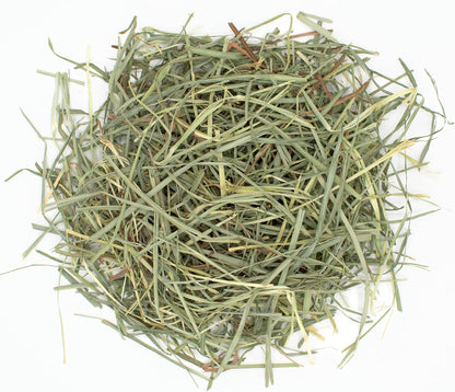 Oxbow Animal Health Orchard Grass Hay - All Natural Grass Hay for Chinchillas, Rabbits, Guinea Pigs, Hamsters, Gerbils & Other Small Pets - Fiber Rich- Grown in the USA- 9 lb.