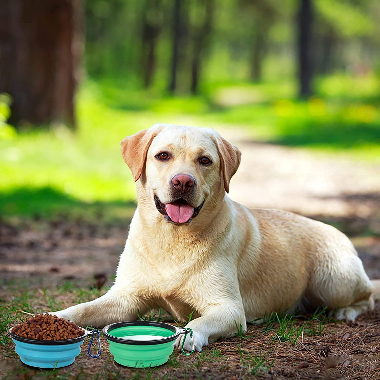 SLSON Collapsible Bowl with Cover Lids,2 Pack Dog Travel Bowls Portable Foldable Cat Water Dish Bowl for Pets Walking Parking Camping (Light Blue and Green, Small)