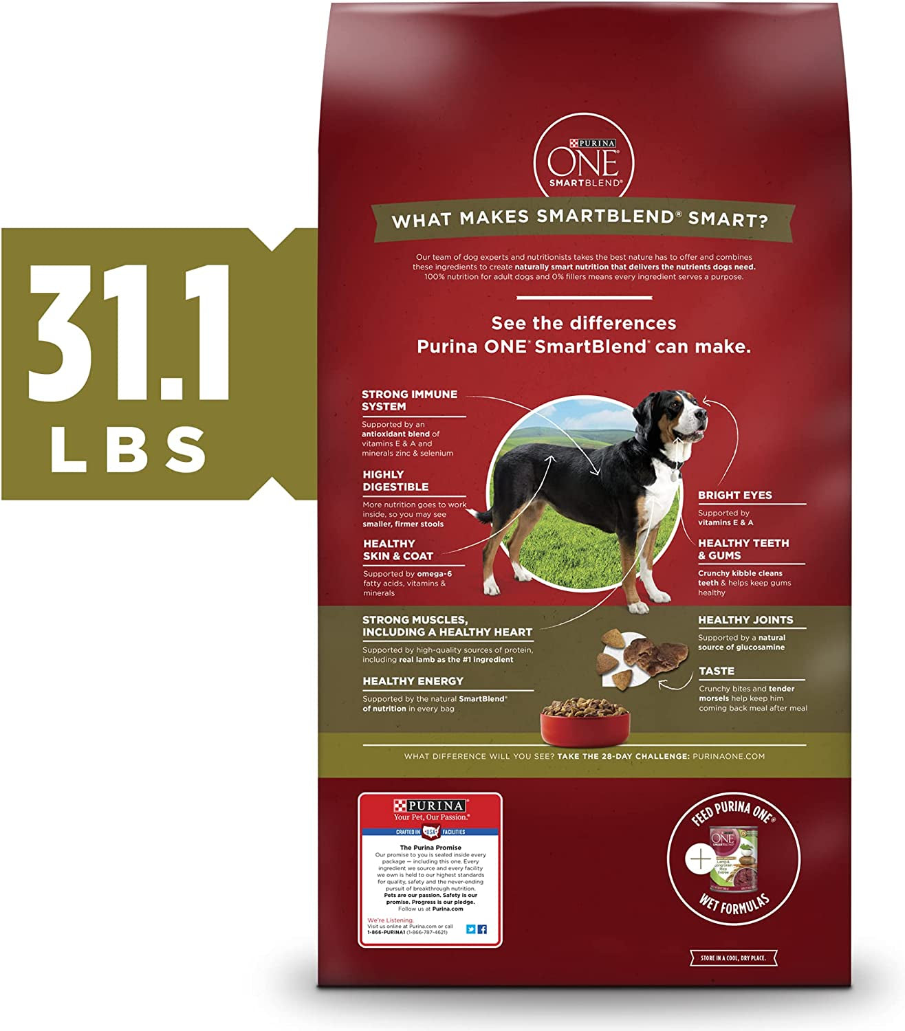 Purina ONE Dry Dog Food Lamb and Rice Formula - 8 Lb. Bag