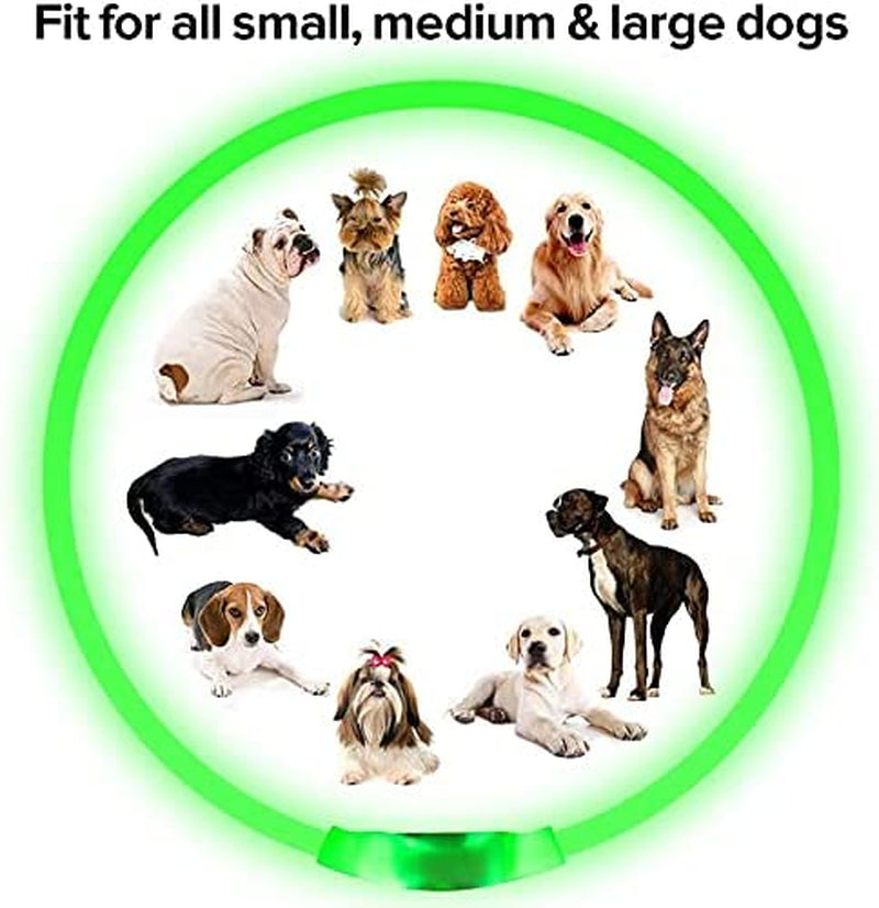 Led Dog Collar, BSEEN USB Rechargeable Flash Dog Necklace Light, Pet Safety Collar Makes Your Beloved Dogs Be Seen at Night for Small Medium Large Dogs