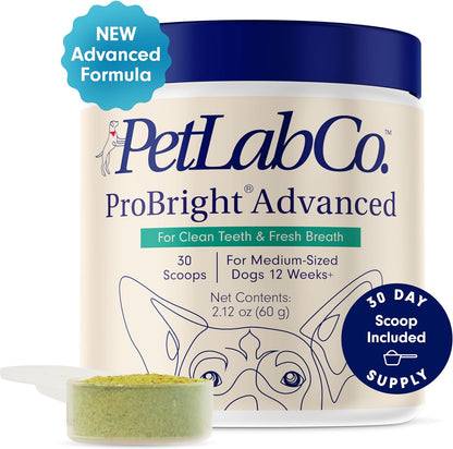 Petlab Co. Probright Advanced Dental Powder - Dog Breath Freshener - Teeth Cleaning Made Easy – Targets Tartar & Bad Breath - Formulated for Medium Size Dogs