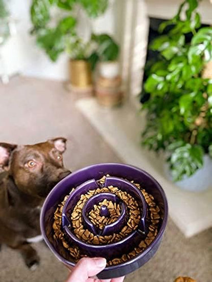 LE TAUCI Slow Feeder Dog Bowls Ceramic, 3 Cups Slow Feeding Dog Bowl Medium Large Breed, Maze Dog Bowl for Fast Eaters, Dog Dishes to Slow down Eating, Puzzle Dog Food Bowl, Dog Maze Bowl, Maze Purple