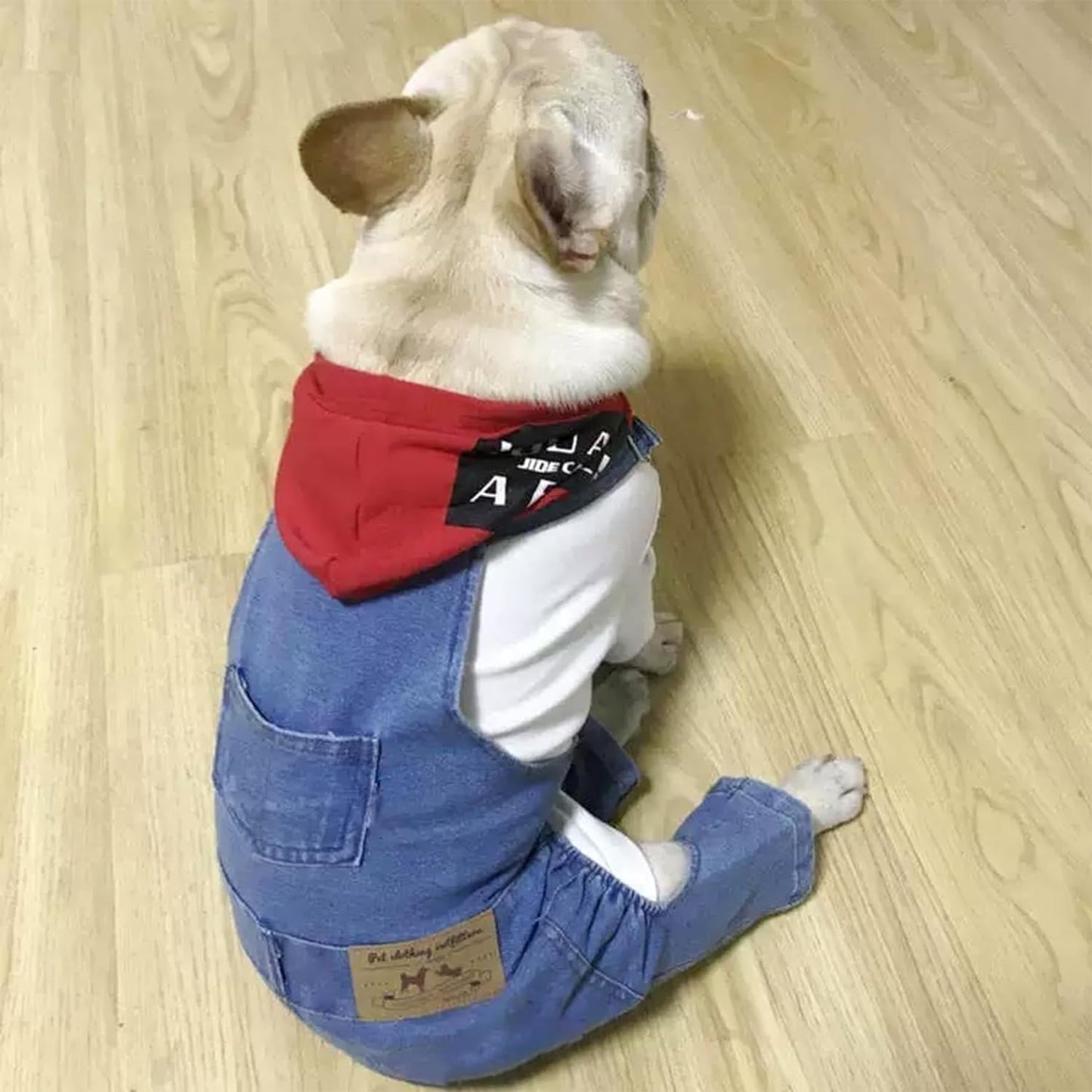 1 Piece of Dog Denim Shirts Puppy Jean Jacket Sling Jumpsuit Costumes Pet Jean Overalls Dog Pants Outfits for Small Puppy Cat Pets (Blue, Small)