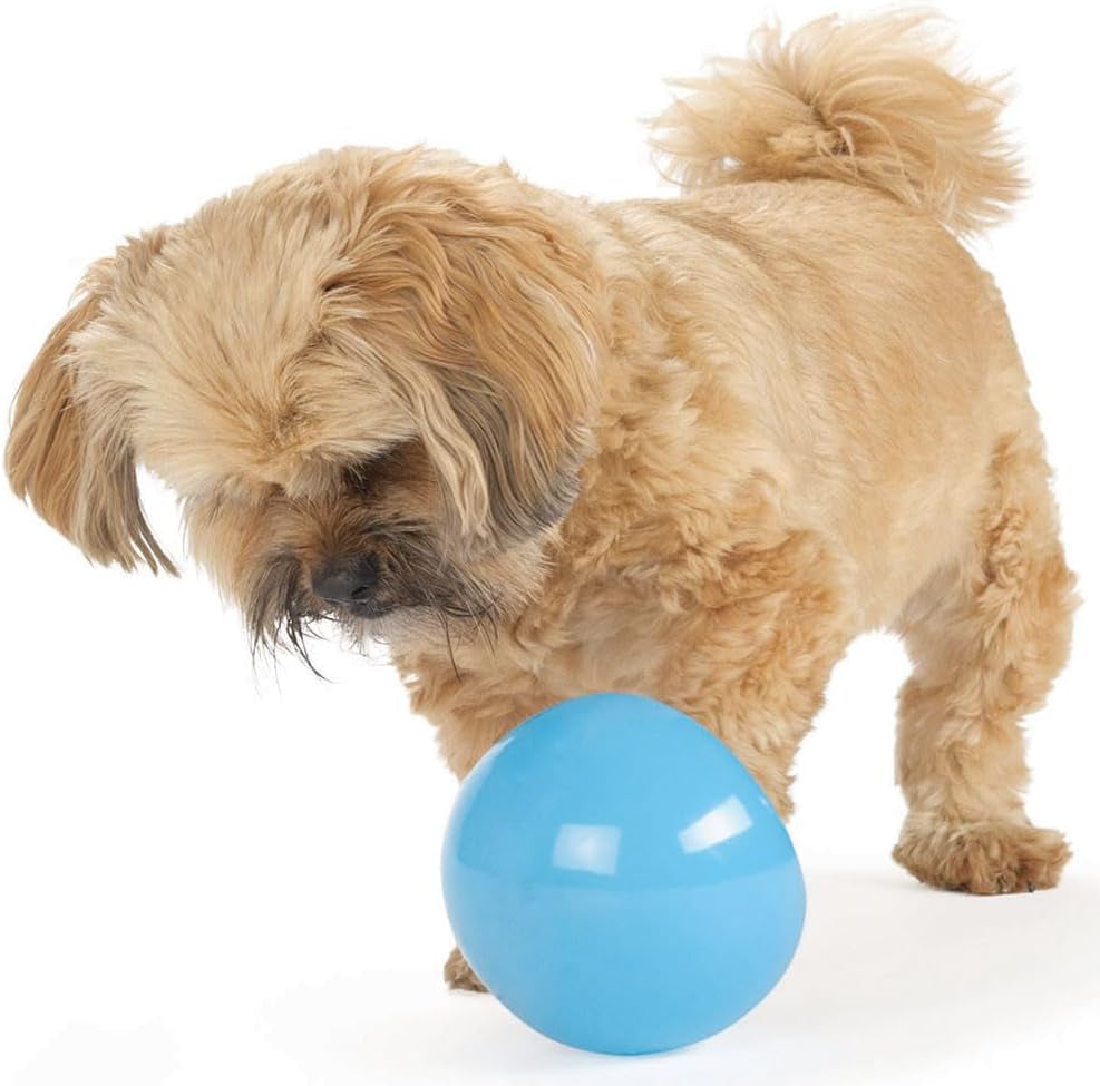 Planet Dog Orbee-Tuff Snoop Interactive Treat Dispensing Dog Toy, Large, Blue