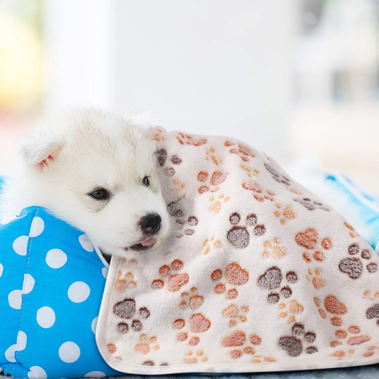 4 Pcs Pet Blanket Dog Puppy Blanket Paw Print Fleece Blanket for Small Medium Pet Dog Cat Warm Soft Sleep Mat Guinea Pig Cage Liners Blanket (White,Small)