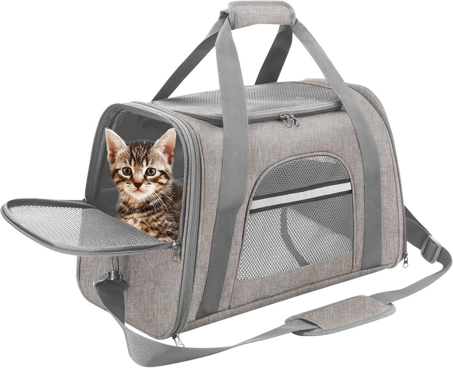 Prodigen Cat Carrier Dog Carrier for Medium Dogs Dog Travel Crate Soft Slided Collapsible Pet Travel Carrier, Large (20.5" W X 13.5" H X 10" D)