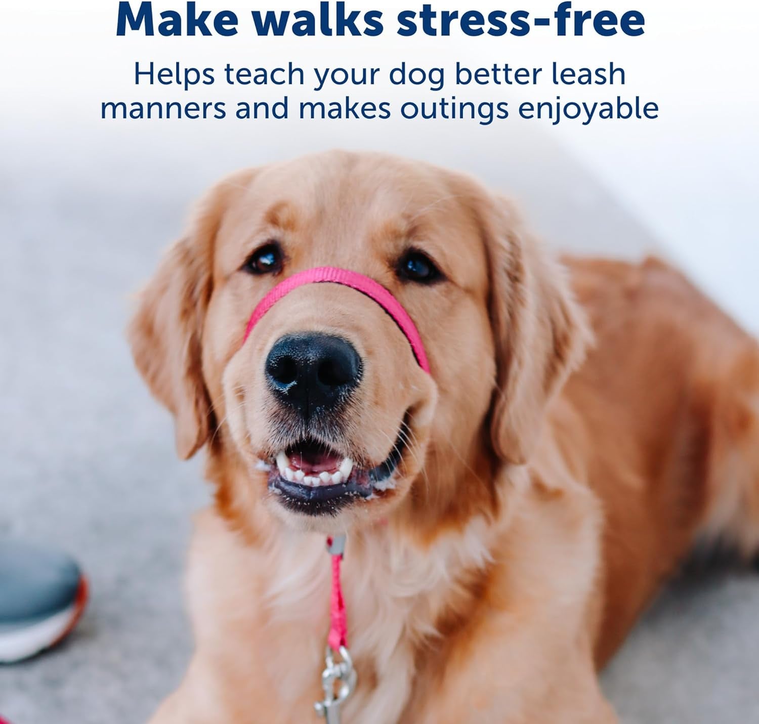 Petsafe Gentle Leader No-Pull Dog Headcollar - the Ultimate Solution to Pulling - Redirects Your Dog'S Pulling for Easier Walks - Helps You Regain Control - Small, Royal Blue