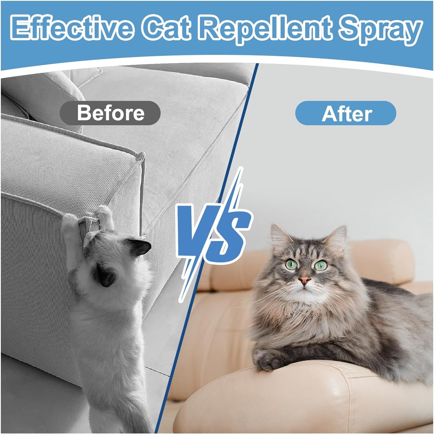 Cat Deterrent Spray. 175ML Cat Repellent Indoor for Cat and Kitten. Cat Scratch Furniture Protector. Effective Cat Repellent Spray Training Aid for Furniture, Curtains, Sofas, Indoor & Outdoor.