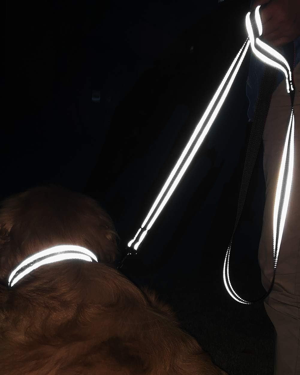 Joytale Double-Sided Reflective Dog Leash, 6 FT/5 FT/4 FT, Padded Handle Nylon Dogs Leashes for Medium & Large Dogs Walking, Teal, 6FT